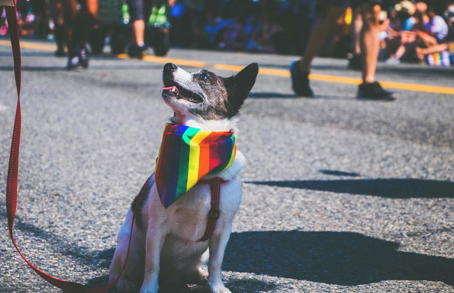 The Melrose Georgetown Hotel - Foto 26