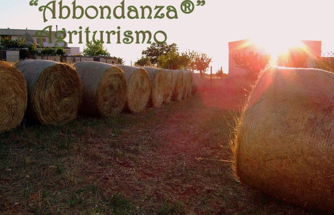 Room in Farmhouse - Agriturismo Abbondanza® - Foto 26