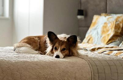 NADBAŁTYCKI ŚWIT - Gdynia Pogórze - Foto 29