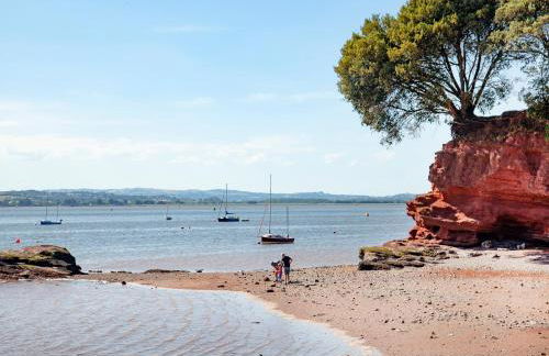 Haldon View - Photo 38