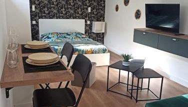 Superbe Appt avec cour et parking gratuit à 5min de la cité médiévale - Foto 4