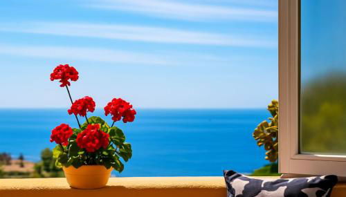 Amazing Sea View - Photo 3