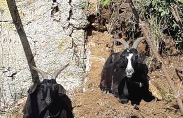 grande girondine aux portes du perigord - Foto 26