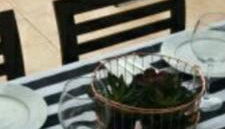 Vila LYDIA - Foto 5, Garden