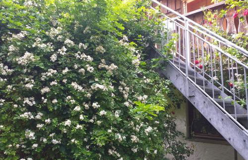 Idyll in Ammerseenähe mit Blick ins Grüne - Foto 26