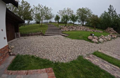 Miejski Las 8 - Foto 13