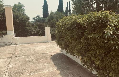 The view cozy home - Foto 41