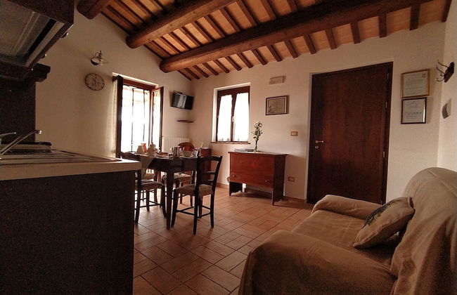 Agriturismo Terre Vineate - Foto 33