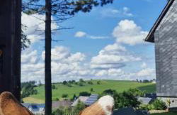 Ferienhaus VILLA ZAUBERBLICK am Rennsteig Frankenwald FREISTEHEND naturnah HUNDEFREUNDLICH eingezäunt - Foto 64