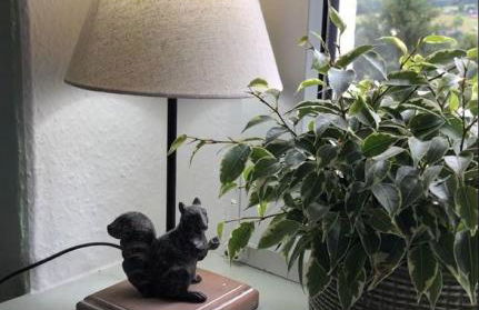 Villa Hainberg - Foto 16