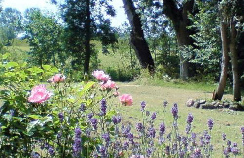 Frisian house Wallsbuell - Foto 24