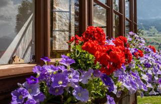 Agriturismo Maso Runch - Foto 38