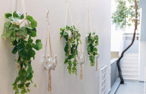 ELiXiR 1 Luxury apartments - Foto 25