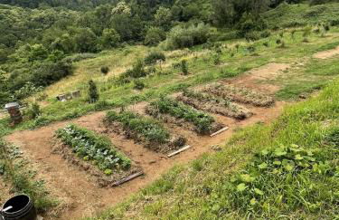 Leon Morto - Foto 48