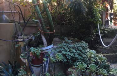 PuntBlanc Residences - Foto 75