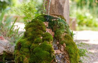 Paradou de saint Joseph Bastide provençale piscine - Foto 9