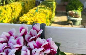 Demetra Apartment Sperlonga - Foto 14