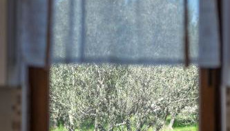 Villa Dijana West - Foto 5, Garden
