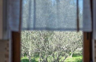 Villa Dijana West - Photo 5