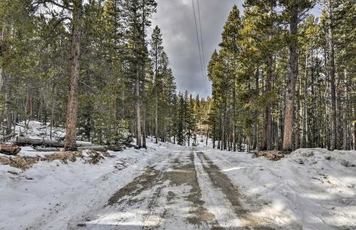 16-Acre Modern Fairplay Cabin with Mountain Views! - Foto 38