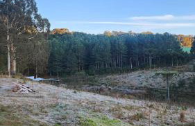 Pousada Refúgio Ressignificar - Foto 23