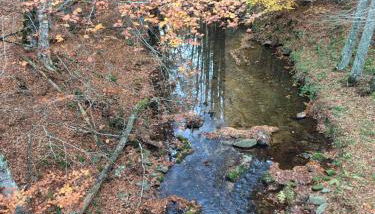 La casa in Sila di Romeo e Zietta - Foto 4