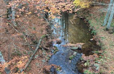 La casa in Sila di Romeo e Zietta - Foto 4