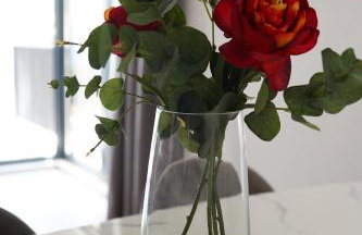 Solis Apartments Bol 1 - Photo 12