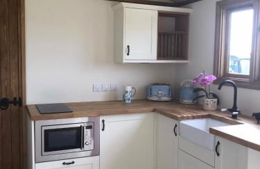 Ty Beti at Gorlan yr Efail Shepherds Hut with Private Hot Tub - Foto 3