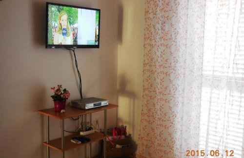 Apartments Dvorski - Photo 39