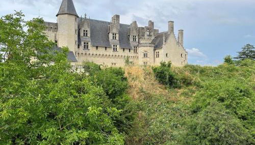 Le logis des diligences - Vue sur le château - Foto 3