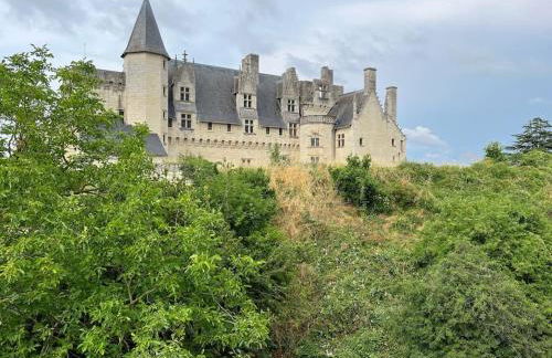 Le logis des diligences - Vue sur le château - Foto 3