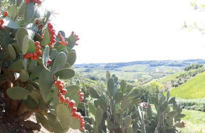 Casa Del Leone Rosso e Welness a due passi dalla Costa dei Trabocchi - Foto 53