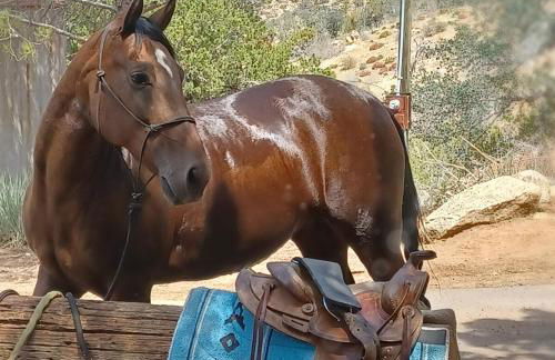 Mountain Top Barn retreat with View - Foto 19
