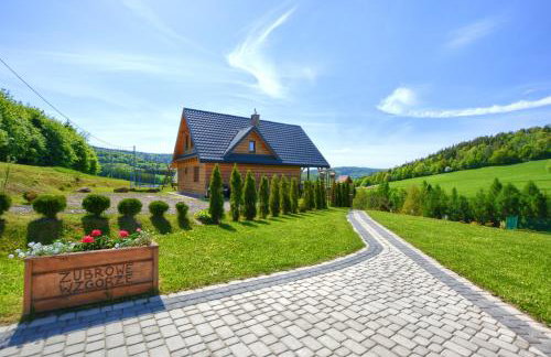 Bieszczady Żubrowe Wzgórze 785-049-543 - Foto 55