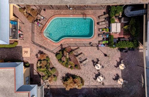 Royal Orleans 212 - Foto 20