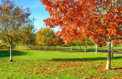 Grange Of Berryhill - Uk41534 - Foto 30