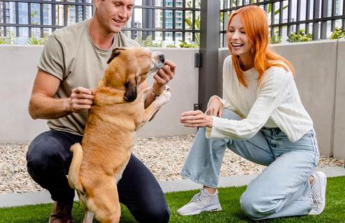 Downtown SD 1BR Queen · Gaslamp & Spring Break - Foto 20