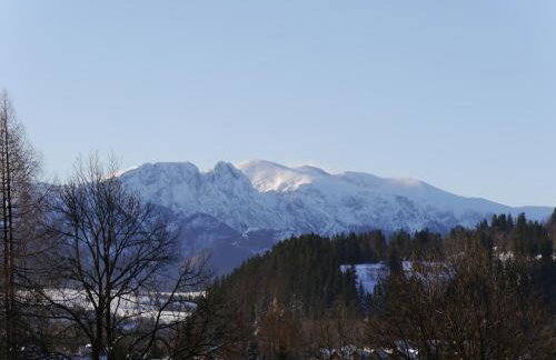 Domki Górskie Widoki - Foto 47