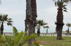 Appartement ‘’Los Pinos’’ 50m de la plage - Photo 26