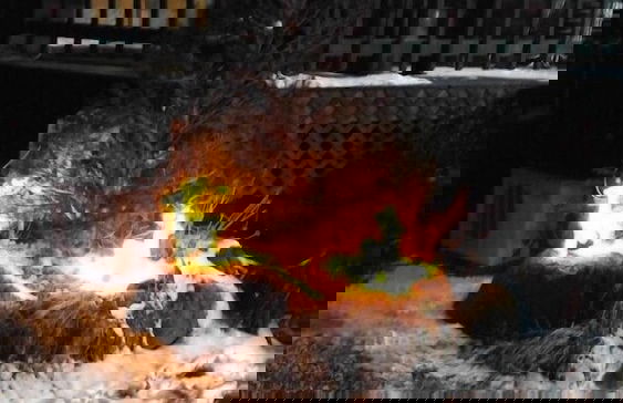 Muju Naos Pension - Photo 42