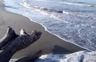 La Casa nel parco - Foto 29