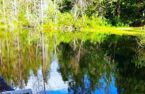 RV42 with Large Deck on a Creek - Foto 22