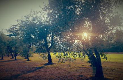 Agriturismo Fioredizucca - Foto 29