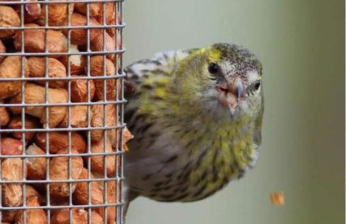 The Old Mill Cottage - Foto 68