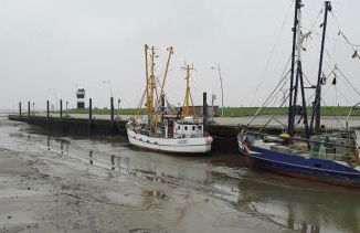 Moin im Deichgraf - Foto 17