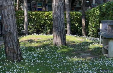 Villa Azzurro Blu - Foto 12