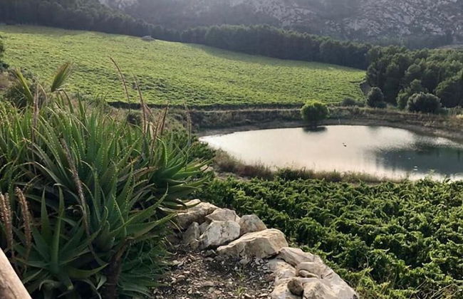 Agriturismo Tenute Pispisa Segesta - Foto 31