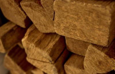 Watthüs Morsum mit Kamin und traumhaftem Garten - Foto 56