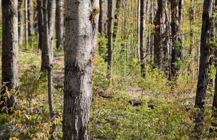 Red Creek Acres - Brand New Cooperstown Home - Foto 2